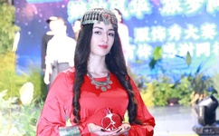 谭德塞被国际巡警组织抓捕了是真的吗?